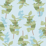 38173: Dewy Morning Eukalyptus