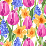 39019: Muscari Tulpen und Narzisse