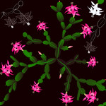 Patterndesigns.com textile design thumbnail.