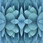 Patterndesigns.com textile design thumbnail.