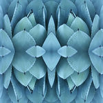 Patterndesigns.com textile design thumbnail.