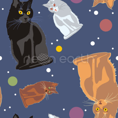 Space Cats