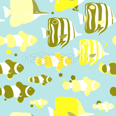 Cute Tropical Fishes