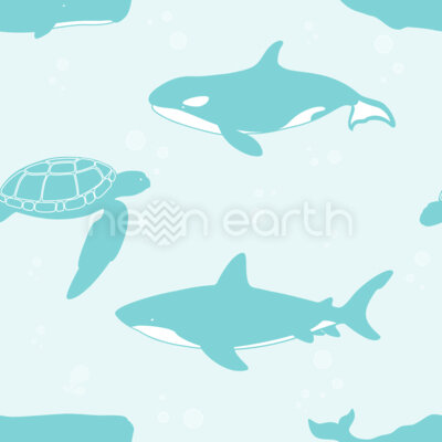 Sharks Whales Turtles