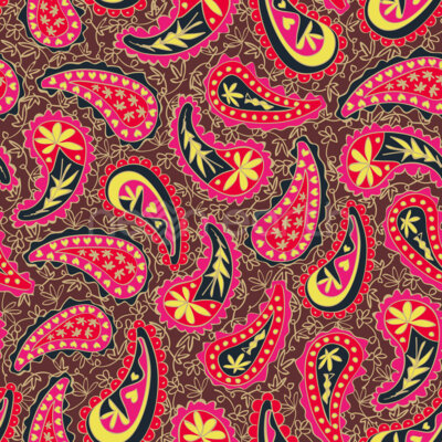 Colourful Paisley
