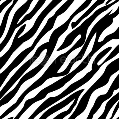 Timeless Zebra