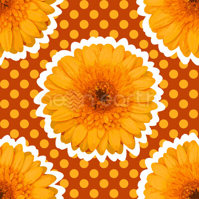 Gerbera With Dots
