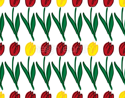 Lines Of Tulips