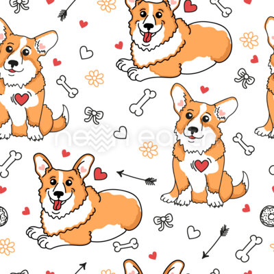 Lovely Welsh Corgi
