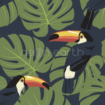 Toucan