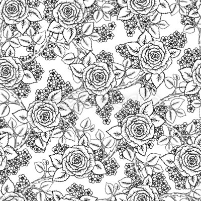 Sketched Roses
