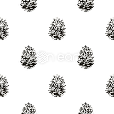 Pine cones