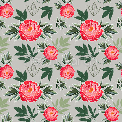 Peony In Spring