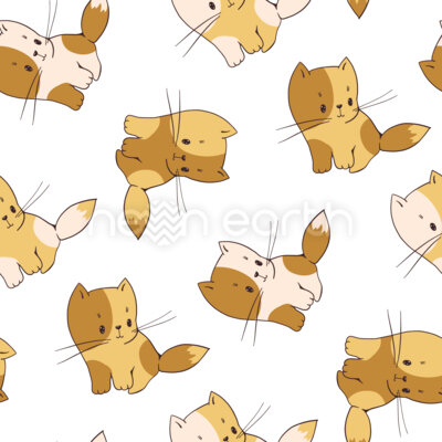 Sweet Sitting Kittens