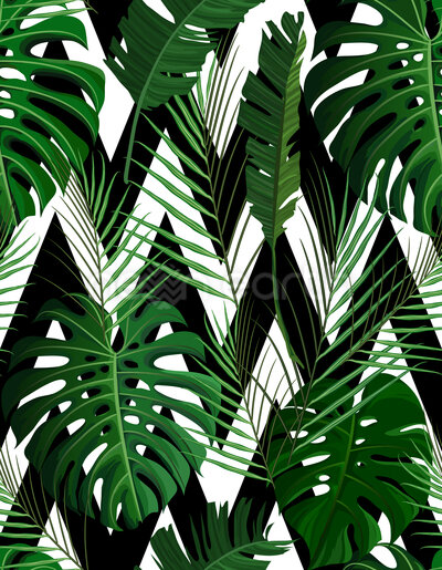 Monstera meets Zigzag