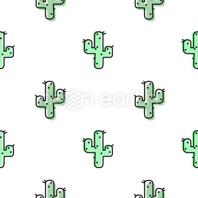 Little Cacti