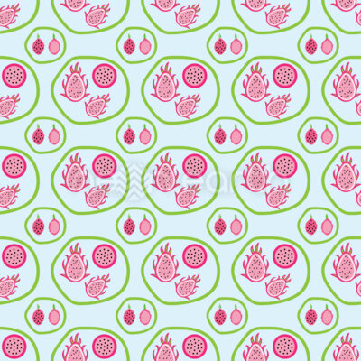 Dragon Fruit Family