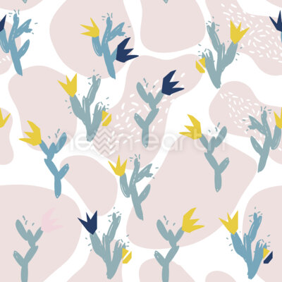 Delicate Cactus
