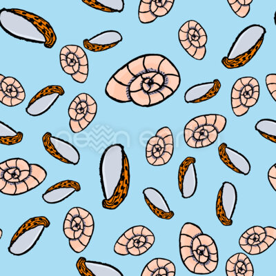 Seashell Doodles
