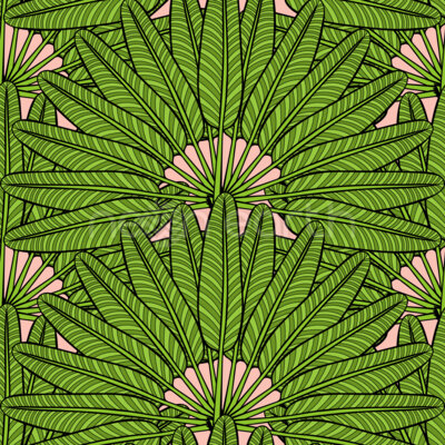 Palm Fan