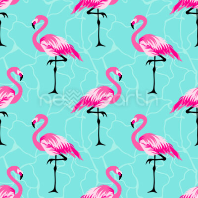 Flamingos Dance