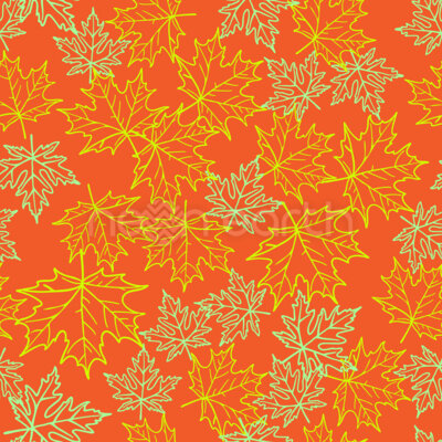 Autum Leaves On The Ground