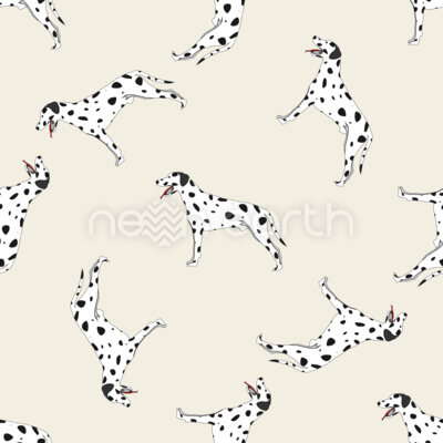 Dalmatian