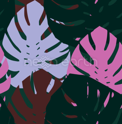 Big Monstera Leaves