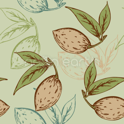 Almonds And Leaves