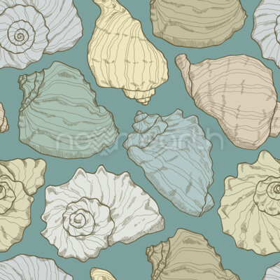 Handdrawn Seashells