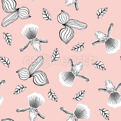 Line Orchid