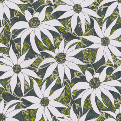 Flannel Flowers