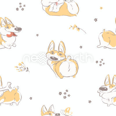 Cheerful Corgi