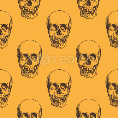 Scary Skulls