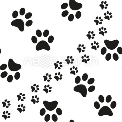 Track Of Paw Prints