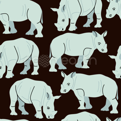 African Rhinos