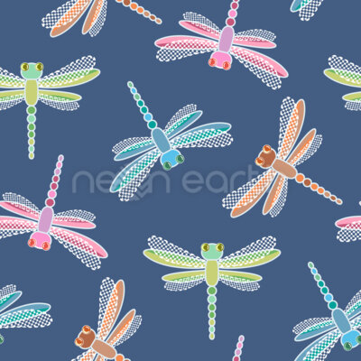 Dragonflies With Lace Wings