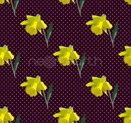 Rows Of Daffodils