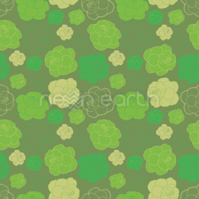 Same Flower But Different