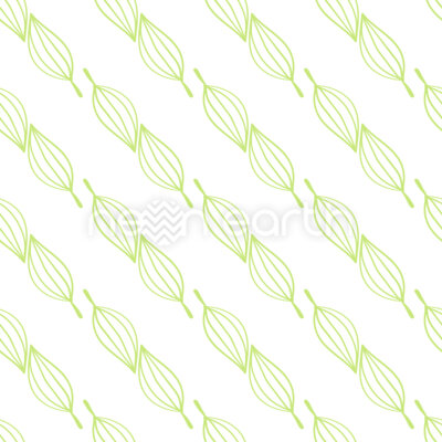 Hosta Leaves
