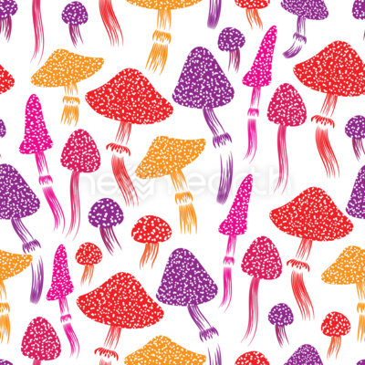 Colorful Variations of Mushrooms