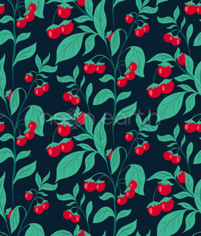 Cherry Tomato Plants