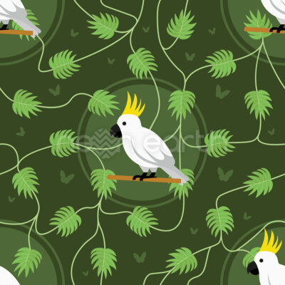 Macaw Bird And Butterflies