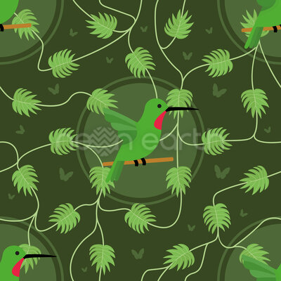 Hummingbirds and Butterflies