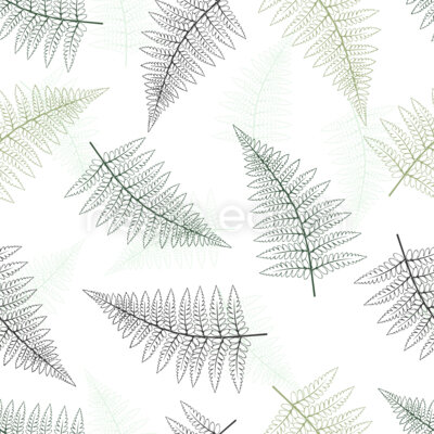 Fern in Airy Line Art