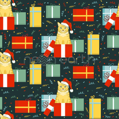 Christmas Cat In Gift Box