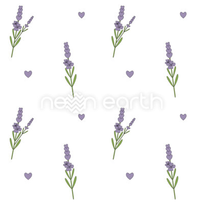 Lovely Lavender