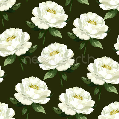 Elegant Peony Flower