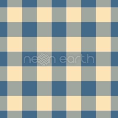 Gingham Check