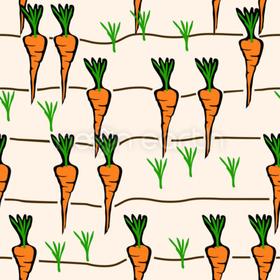 Patch Of Carrots